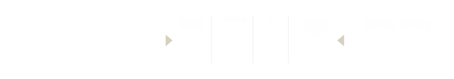 bluespin88 Logo